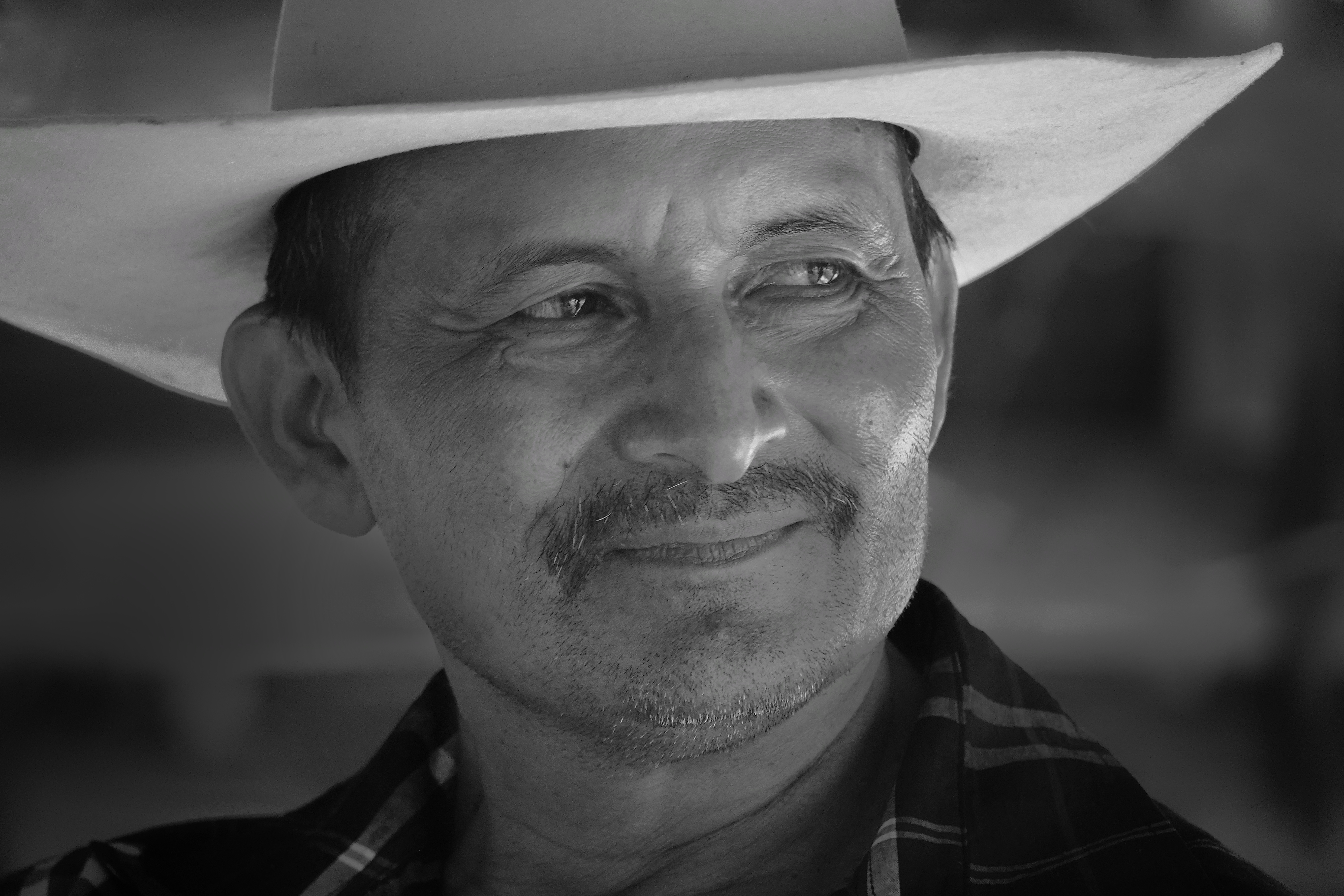 Portrait de Llanero